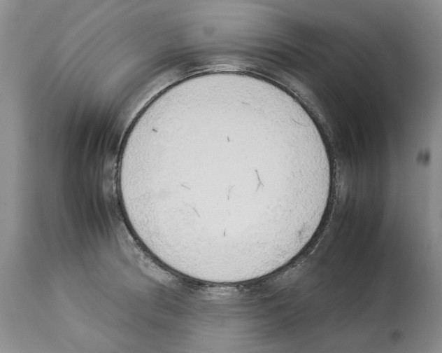 X0000114061186200911161122