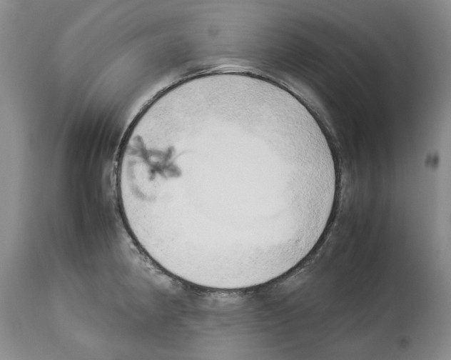 X0000114061190200911161122