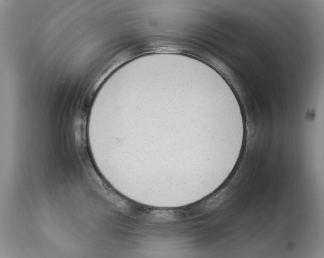 X0000114061194200911161121