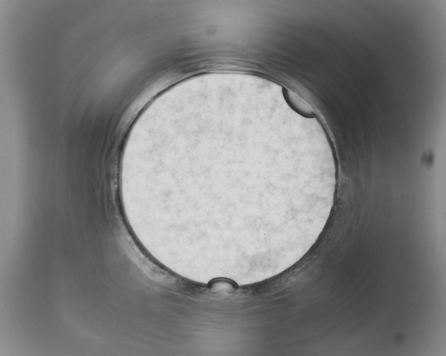 X0000114061195200911161121