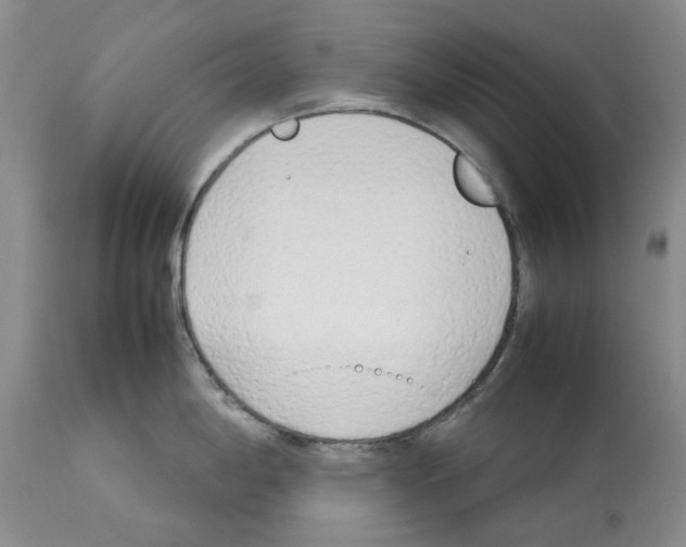 X0000114061198200911161121