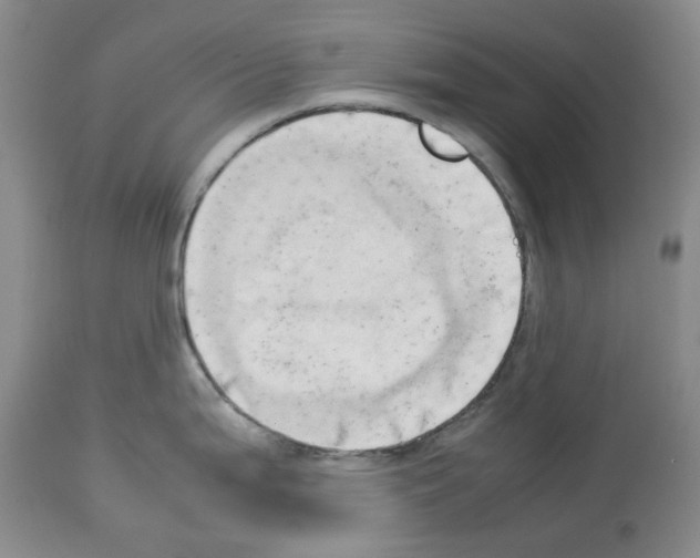 X0000114061199200911161121