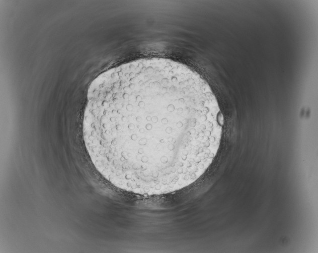 X0000114061201200911161121