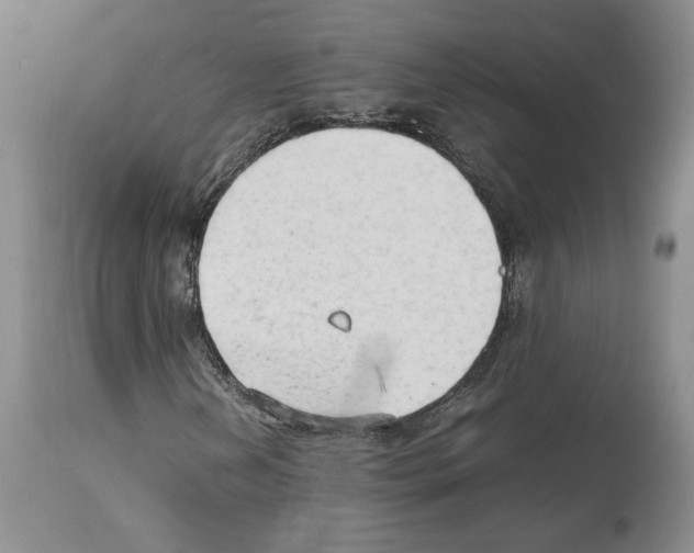 X0000114061202200911161121