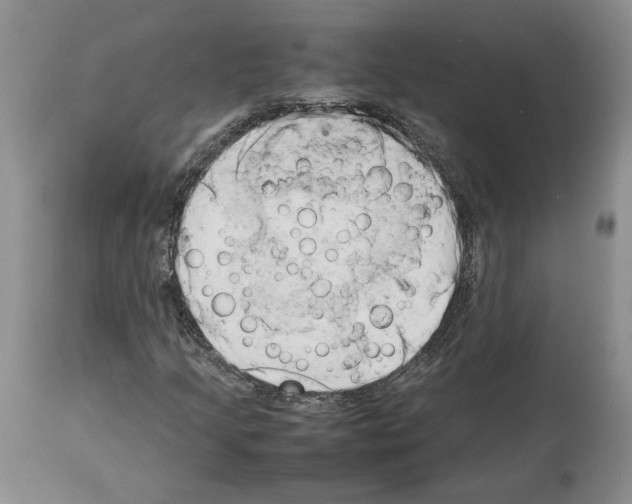 X0000114061205200911161121