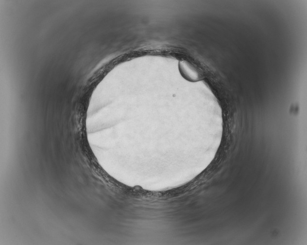 X0000114061206200911161121