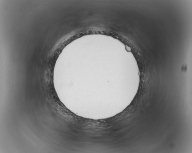 X0000114061207200911161121