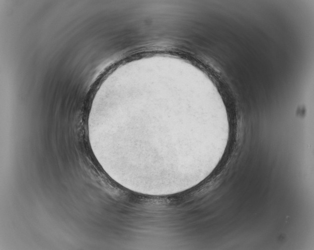 X0000114061210200911161121