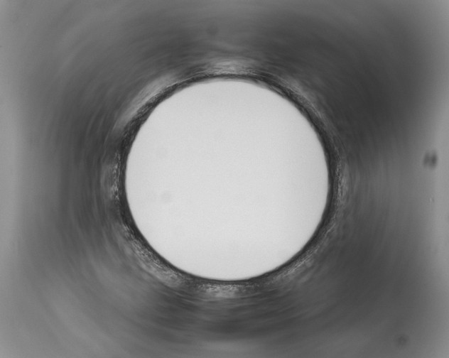 X0000114061211200911161121