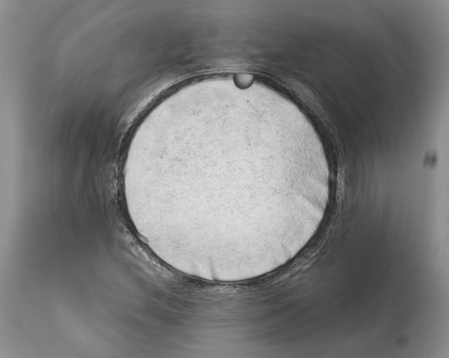 X0000114061212200911161121