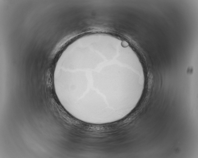 X0000114061215200911161121