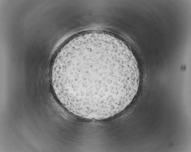 X0000114061216200911161121