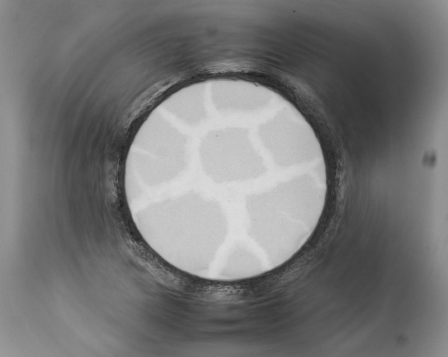 X0000114061217200911161121