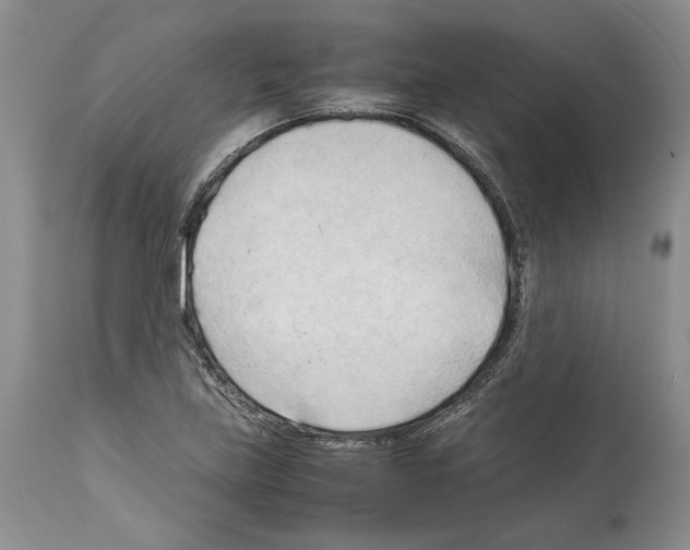 X0000114061219200911161121