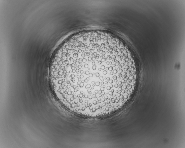 X0000114061220200911161121