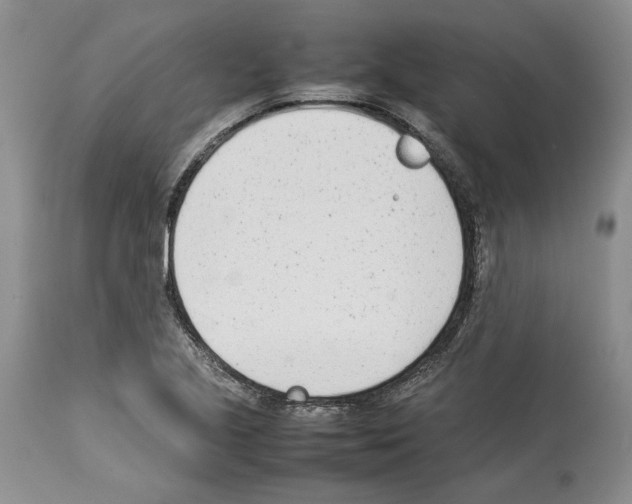 X0000114061221200911161121