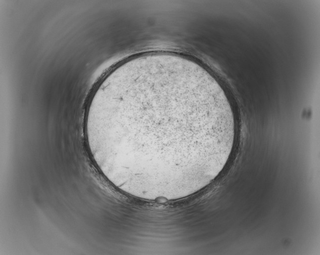 X0000114061222200911161121