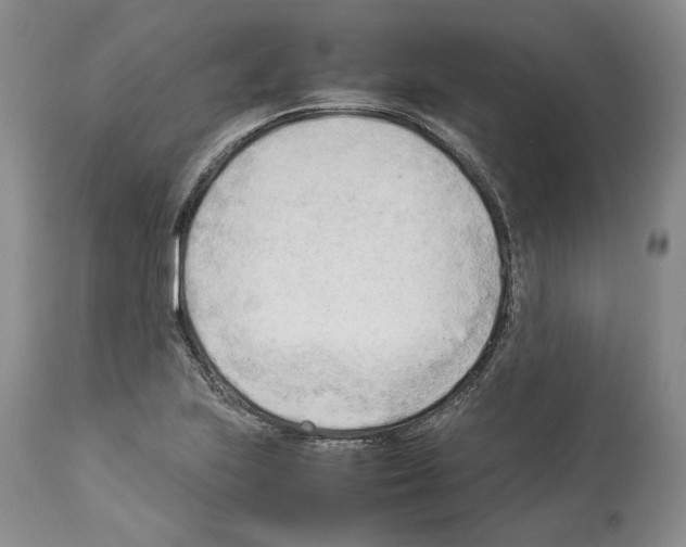 X0000114061223200911161121