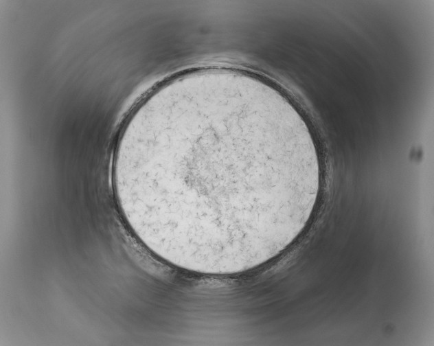 X0000114061224200911161121