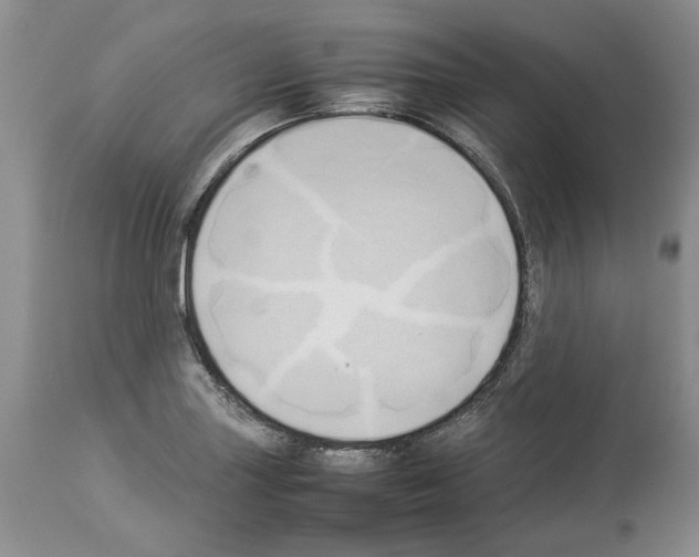 X0000114061227200911161121