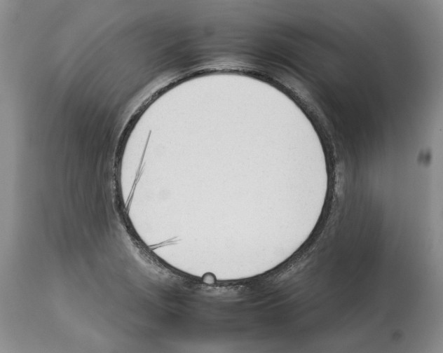 X0000114061229200911161121