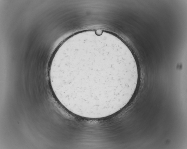 X0000114061230200911161121