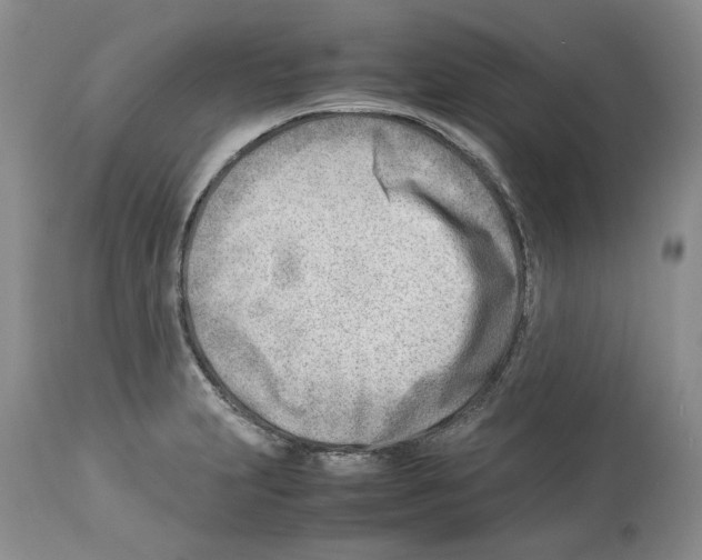 X0000114061231200911161121