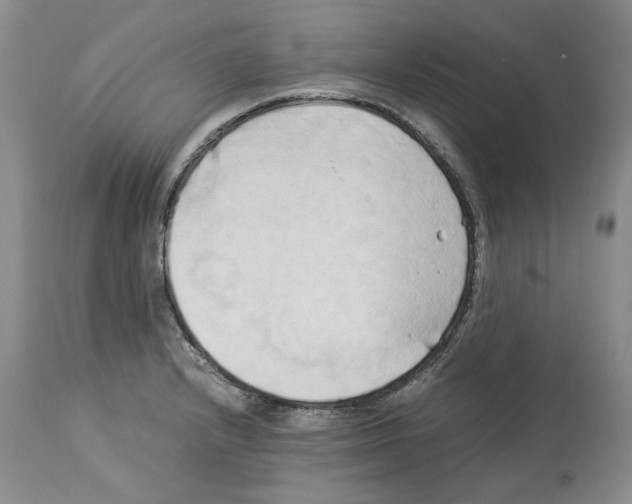 X0000114061232200911161121