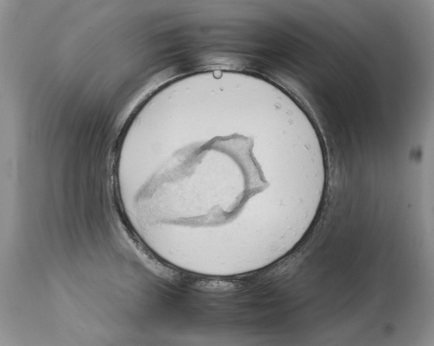 X0000114061235200911161121