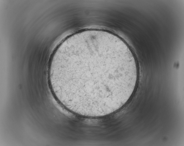 X0000114061237200911161121