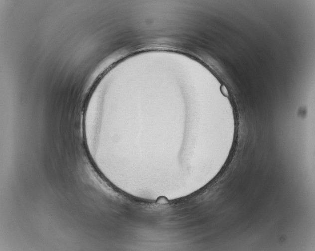 X0000114061238200911161121