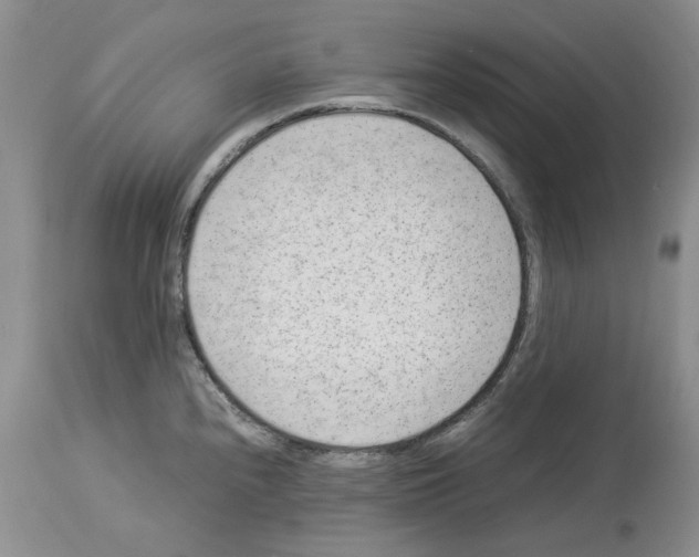 X0000114061240200911161121