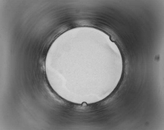 X0000114061241200911161121