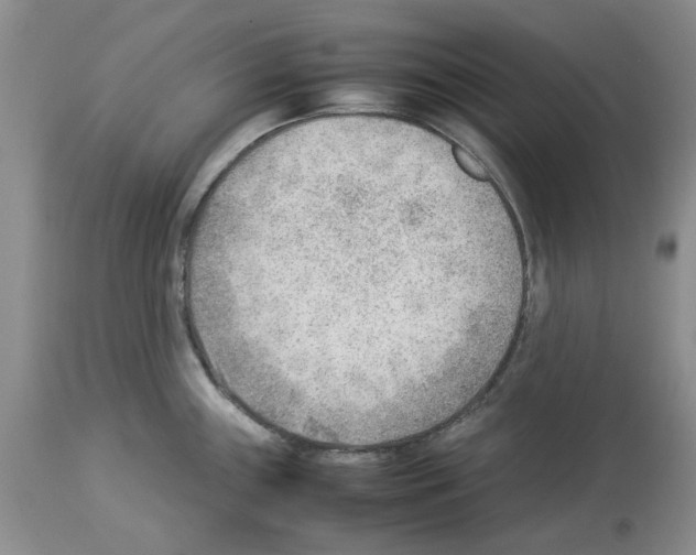 X0000114061243200911161121