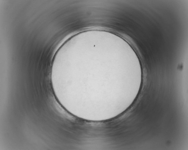 X0000114061244200911161121