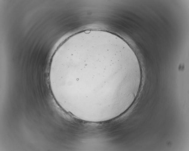 X0000114061248200911161121