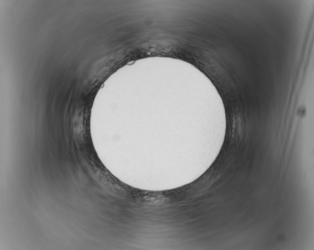 X0000114061250200911161121