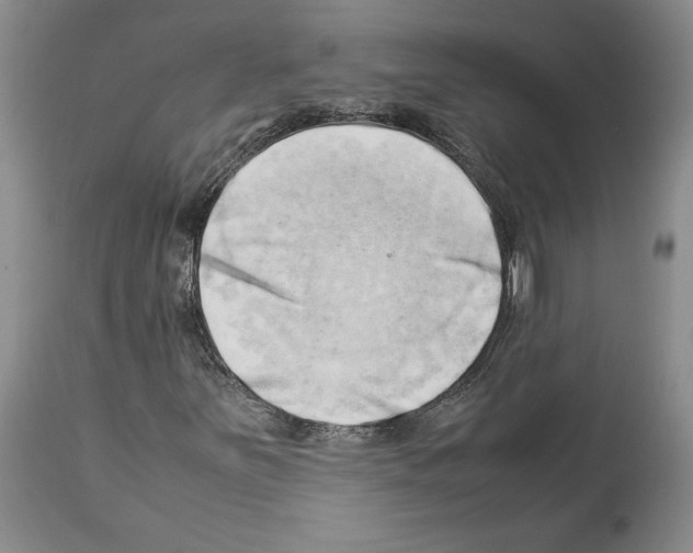 X0000114061251200911161121