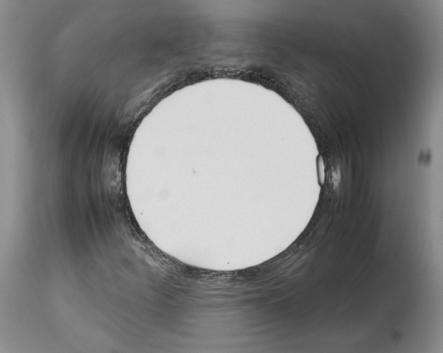 X0000114061252200911161121