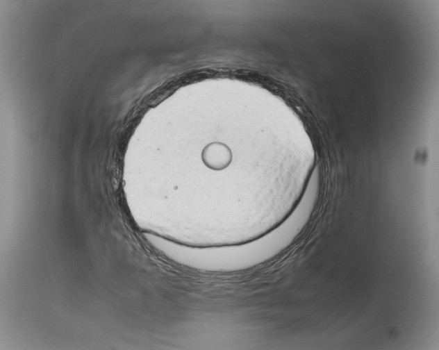 X0000114061253200911161121