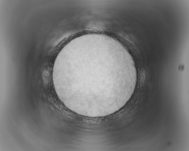 X0000114061254200911161120