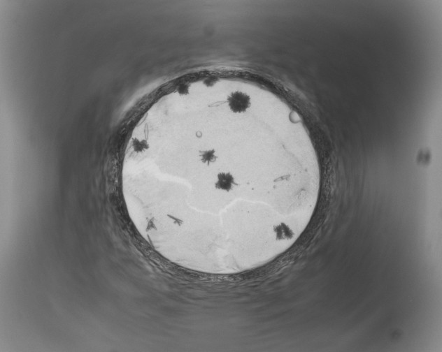 X0000114061255200911161120