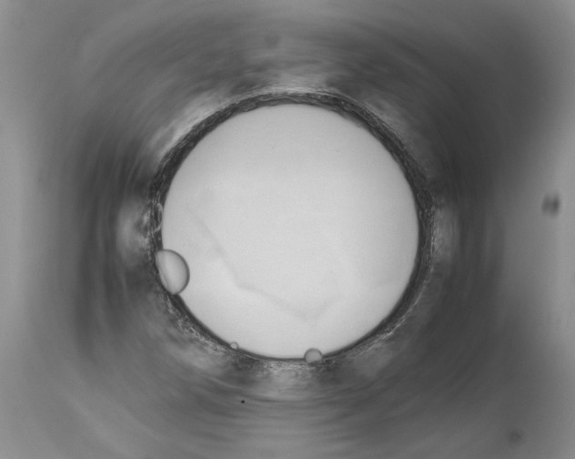 X0000114061258200911161120