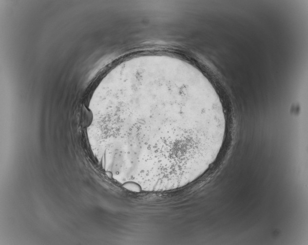 X0000114061259200911161120