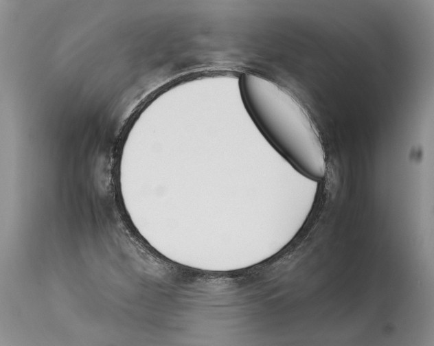 X0000114061260200911161120