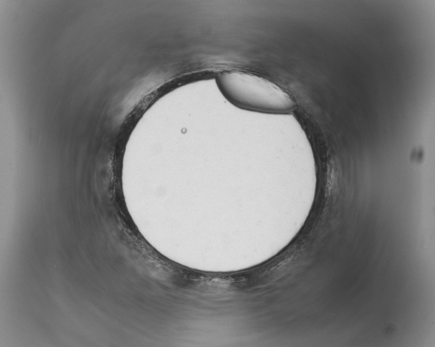 X0000114061261200911161120