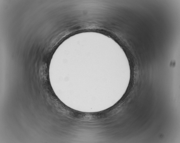 X0000114061265200911161120