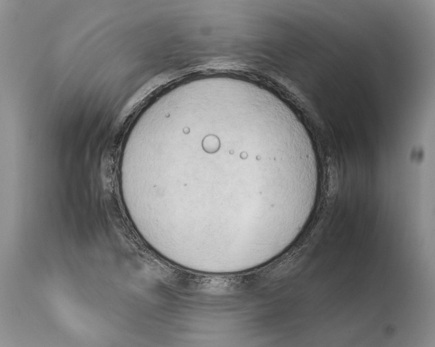 X0000114061266200911161120