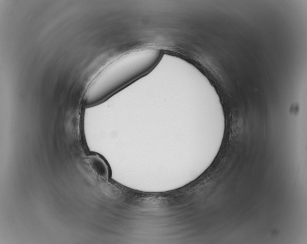 X0000114061268200911161120