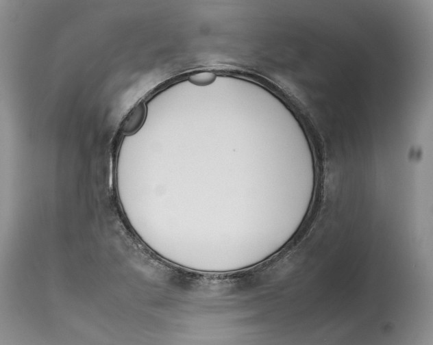 X0000114061269200911161120